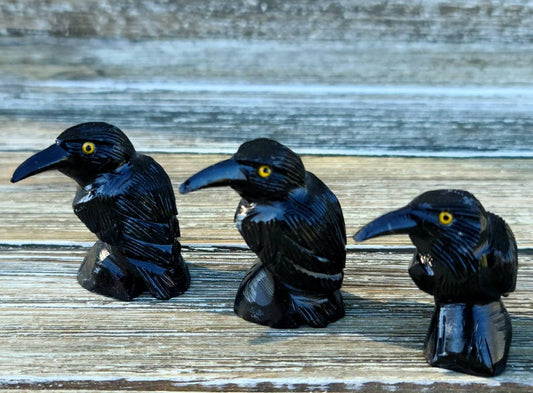 1 Crow Raven Stone Carving-Black Onyx,  soapstone,  grounding,  root chakra, spirit animal