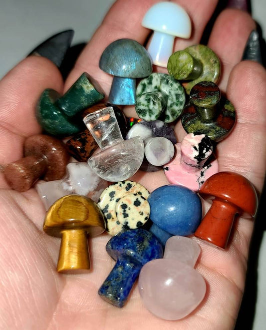 Tiny miniature Mushroom carved crystals - grounding,  connection,  tigers eye, tree agate, opalite, earth stones, quartz, amethyst,  lapis