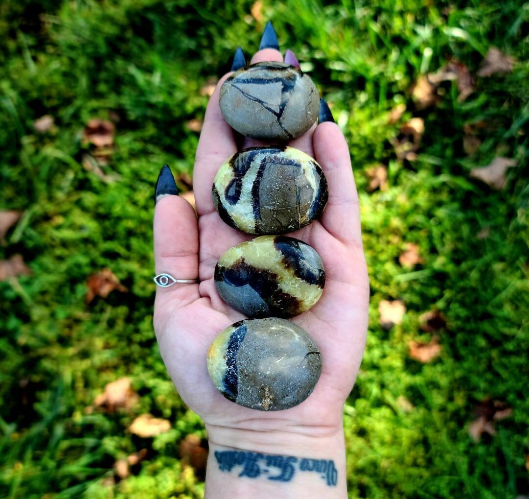 Septerian Palmstone crystal - dragon stone grounding, confidence, 2 sizes available