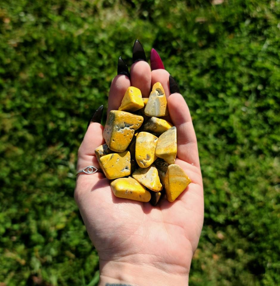 1 Small Bumblebee Jasper Tumble - solar plexus sacral chakra, love, balance, alignment, manifestation, spell work