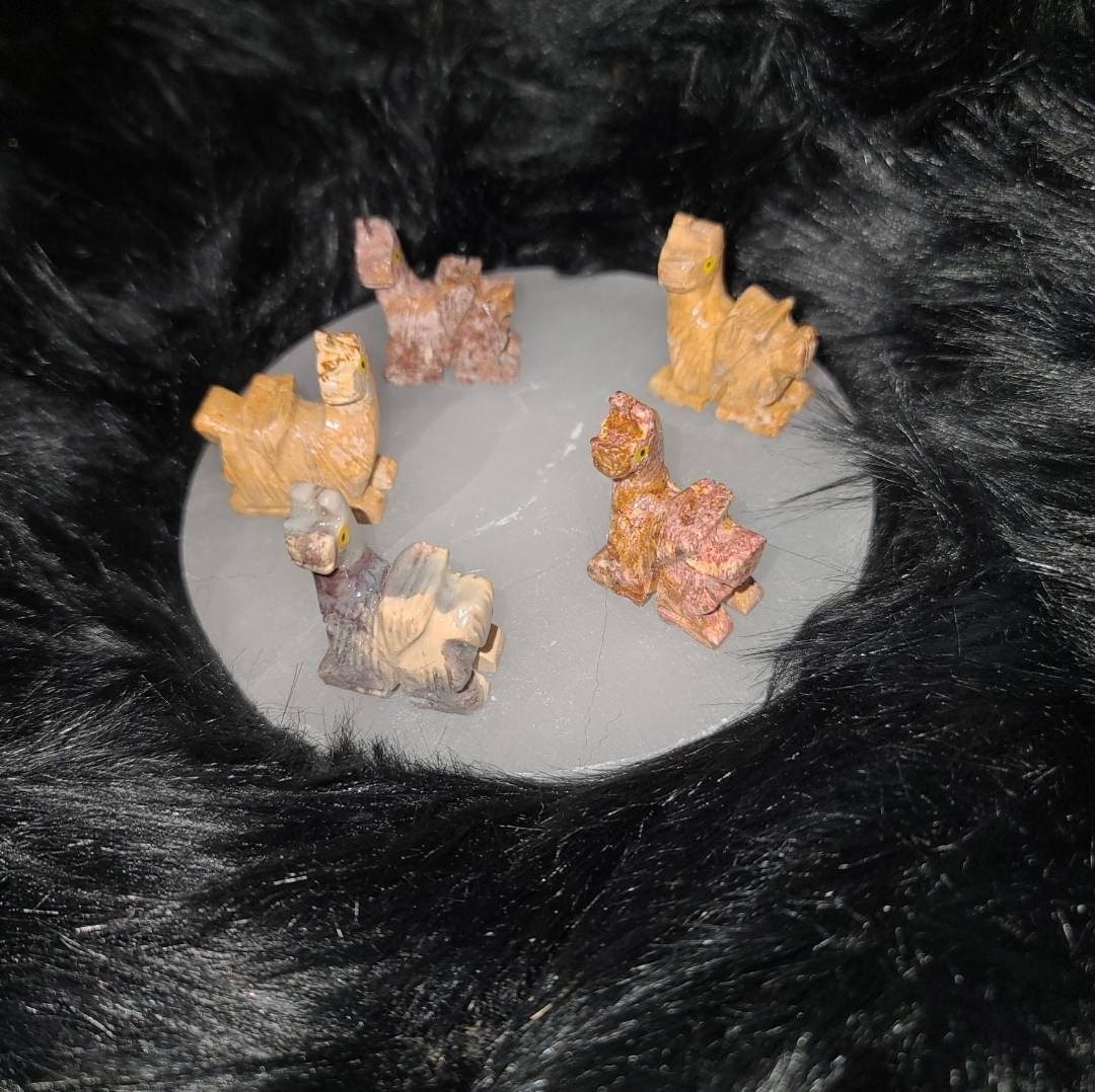 Soapstone Llama crystal spirit animal carving - grounding, calming, meditation, protection, balance, soothing,