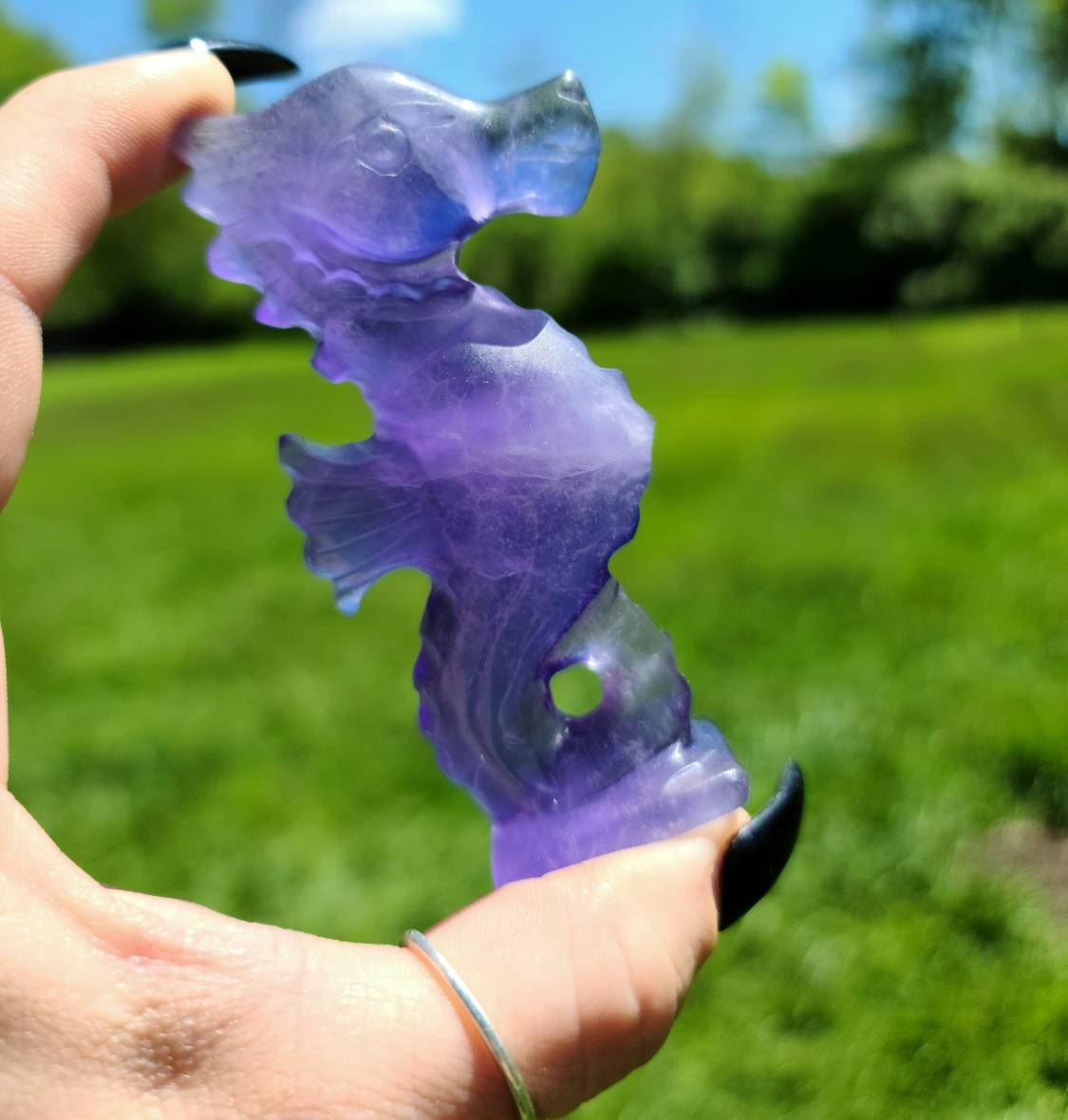 Rainbow Fluorite Crystal Sea Horse - self confidence, learning aid, focus, healing stone, green, purple, rainbow, balance, Purple, flower