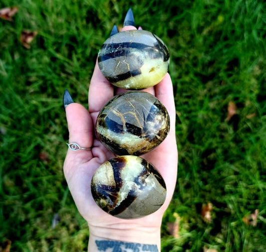 Septerian Palmstone crystal - dragon stone grounding,  confidence, 2 sizes available
