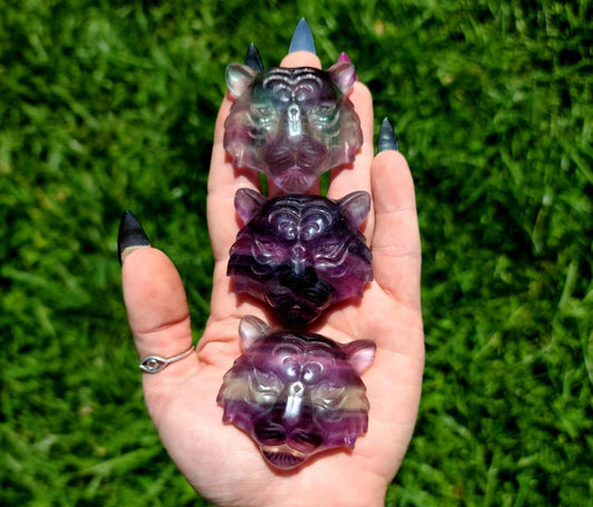 1 Rainbow Fluorite Crystal  Tiger - self confidence,  learning aid, focus, healing stone, green, purple, rainbow, balance, Purple, flower